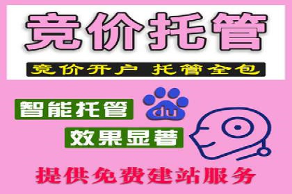 百度SEO推广策略调整：一个成功的调整案例